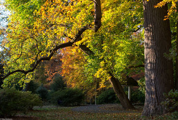 November
