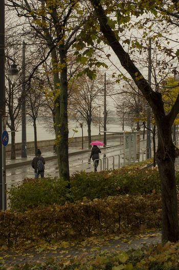 Autumn mood