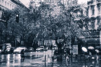 Rainy mood