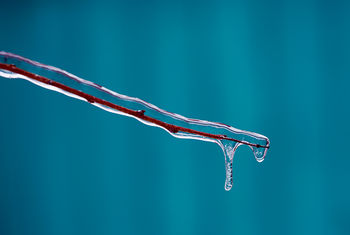 ice