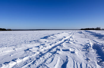 snowy