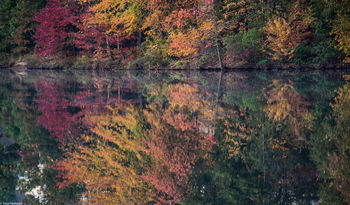Reston VA
