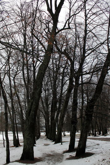 ноябрь...Монрепо