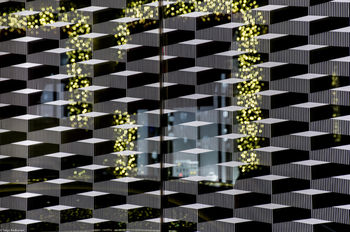 Reflections in window