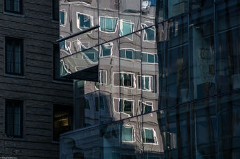 zreflections