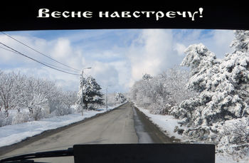 Весне навстречу