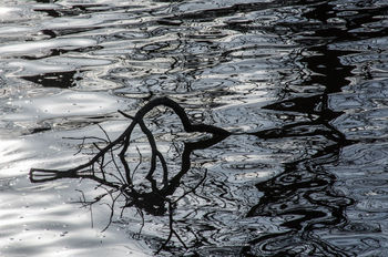 Reflections