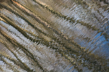 Reflections