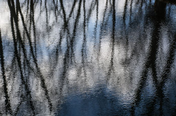 Reflections