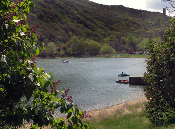 Время сирени