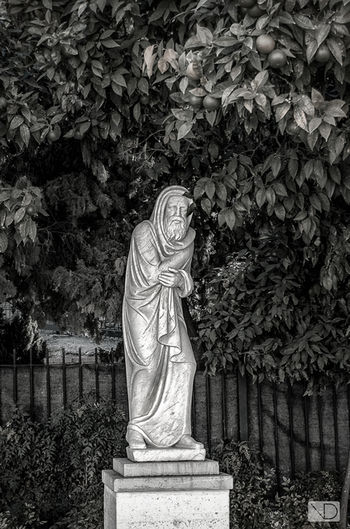 sulpture