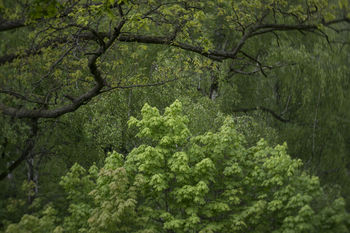 Summer impression #3