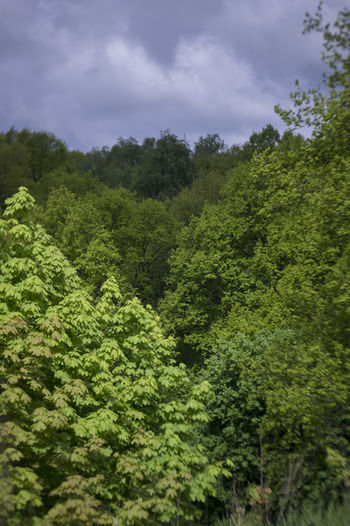 Summer impression #4