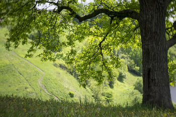 Summer impression #5