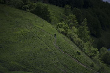 Loneliness on the hill