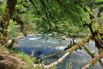 Абхазия. Река Гега