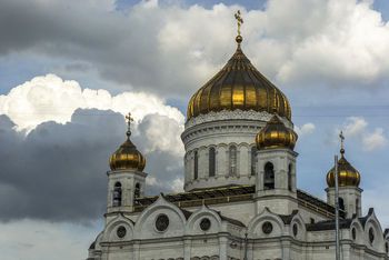 Без названия