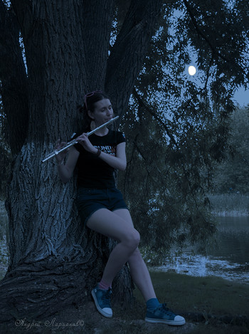 Lunar maestro