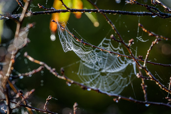Halloween season