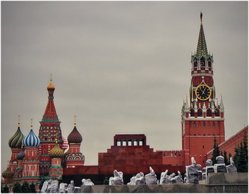 7 ноября 13.00