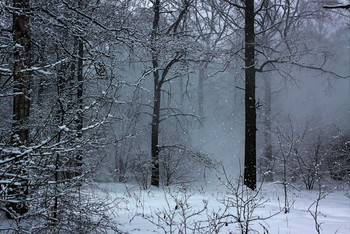 Запуржило-замело.
