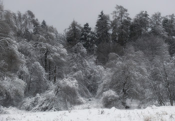 Так прекрасна зима, хоть люта