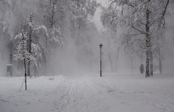 31 января 2018г.