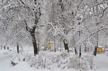 В нашем парке зима