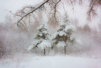 Настроение зимнего утра