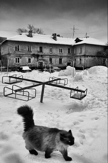 Вот и пригодилась шуба.