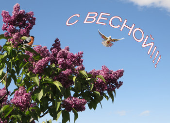 С весной!