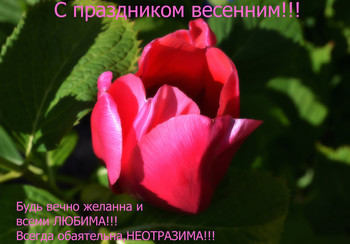 Будь вечно любима!!!
