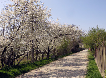 Весна