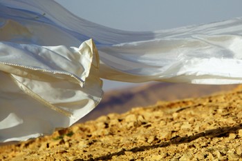 gone with the wind