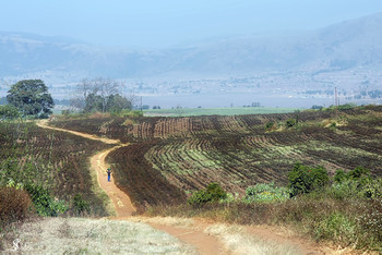 The road to ...