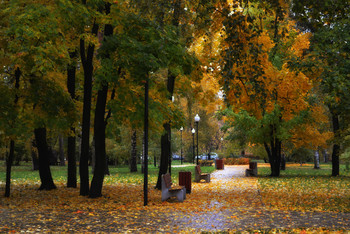  Осенний парк