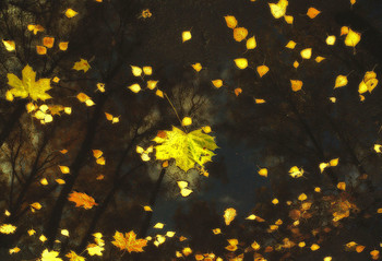 Осенний блюз звучит в тиши, ты не молчи, ты напиши...
