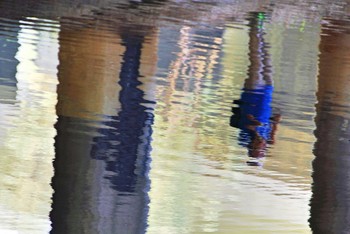 reflection in the water 