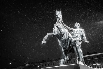 Укротитель лошади.
