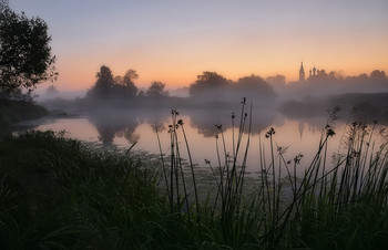 in the silence of a summer morning