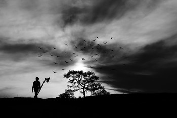Black & White...