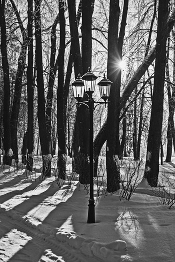 The play of light and shade