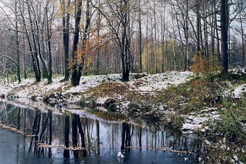 Первый снег. Александровский парк. СПБ