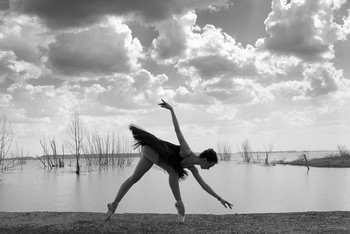 Black Swan