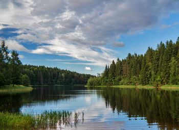 Вписаться в залив