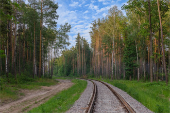 Лесная железная дорога