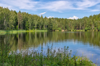 Лесное озеро