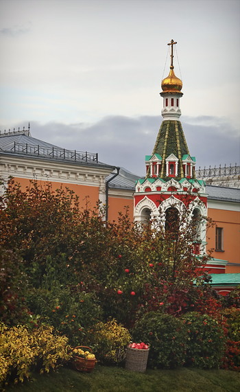 Без названия