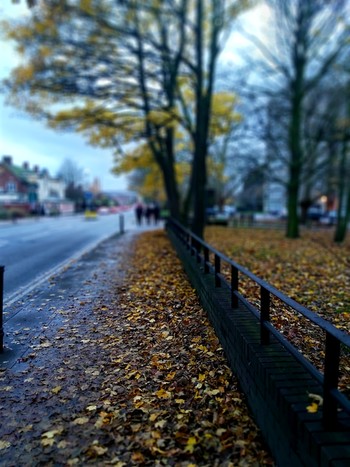 November in London