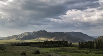 Бескрайние просторы Алтая